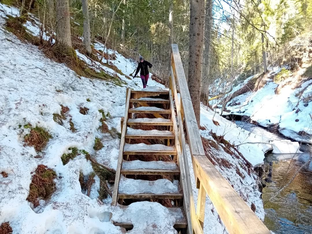 Portaat luonnossa talvisin, ympärillä luminen metsä ja joki.