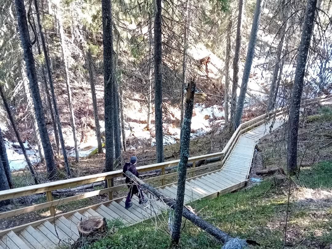 Puinen kävelysilta luonnossa, metsän keskellä, turvallinen ja kaunis polku.