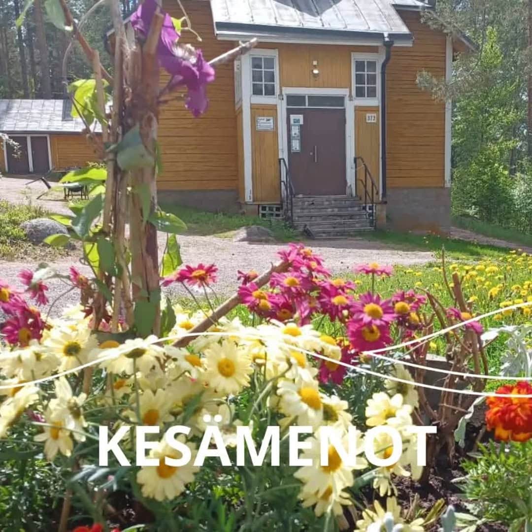 Kesämenot - Kuvassa värikkäitä kukkia ja piharakennus, täydellinen kesän ajan ulkoiluun ja rentoutum.